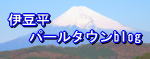 ɓ߰blog